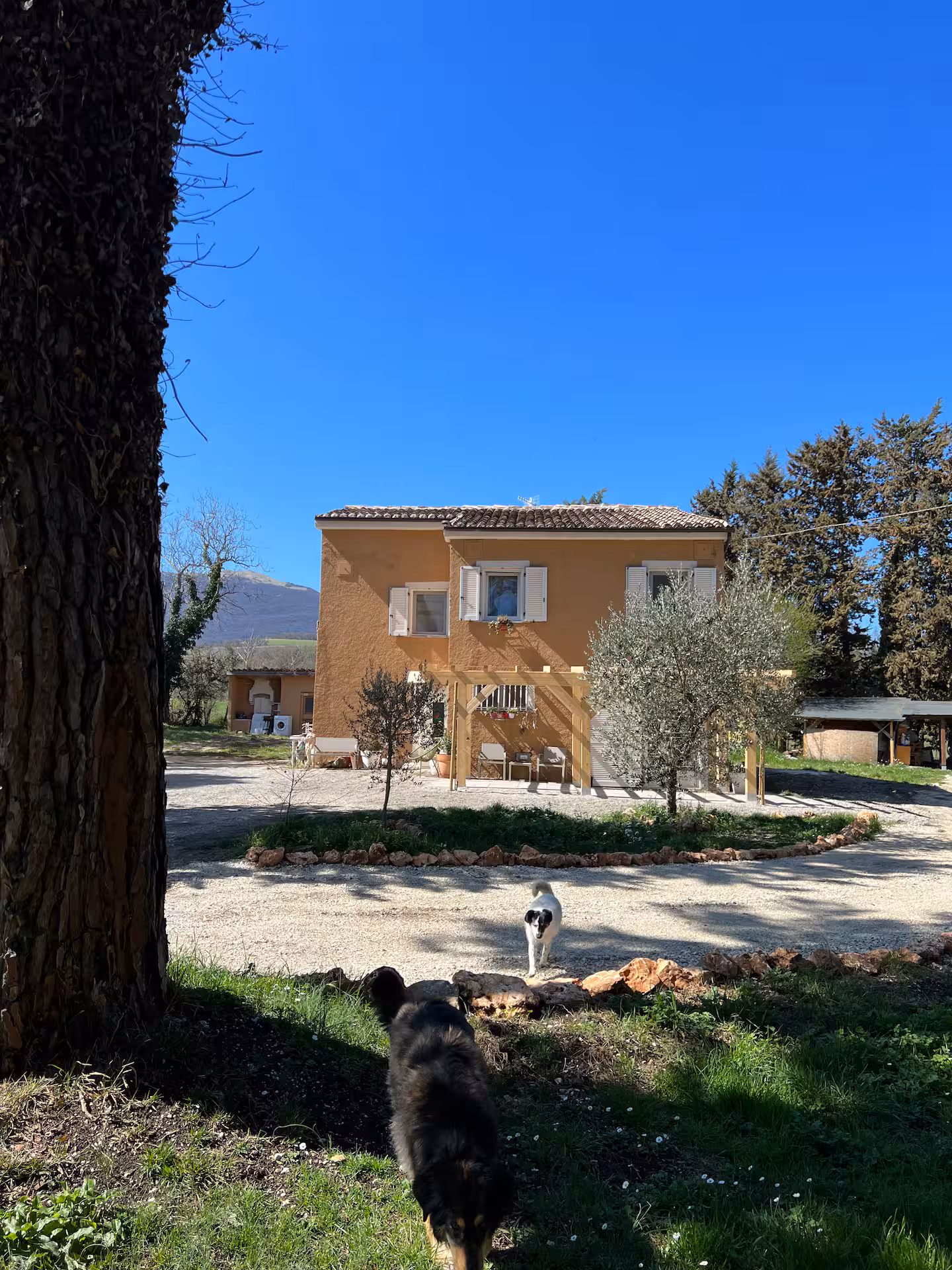 villa-sara-giardino